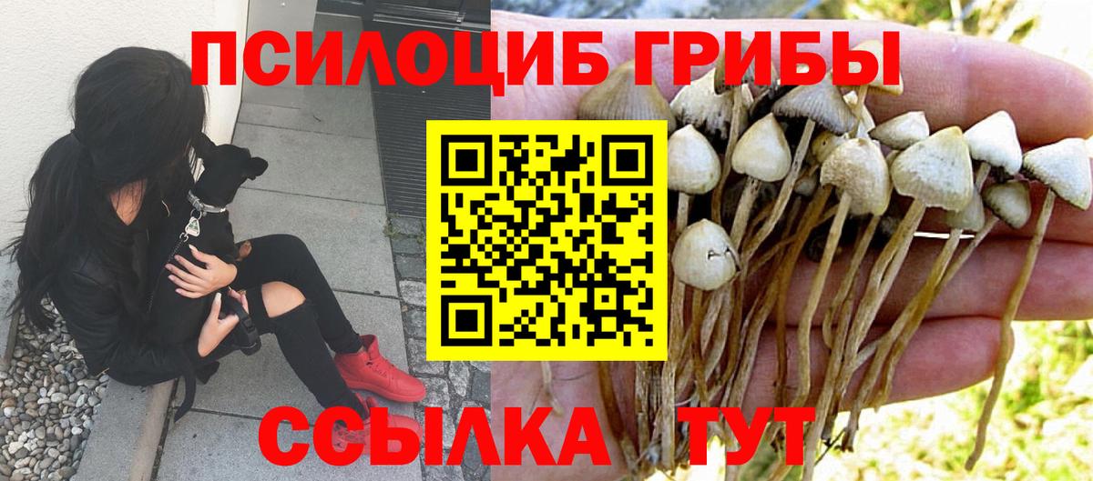 Псилоцибиновые грибы MAGIC MUSHROOMS  Галлюциногенные грибы MAGIC MUSHROOMS  Вход с VPN  где можно купить наркотик  Рассказово 